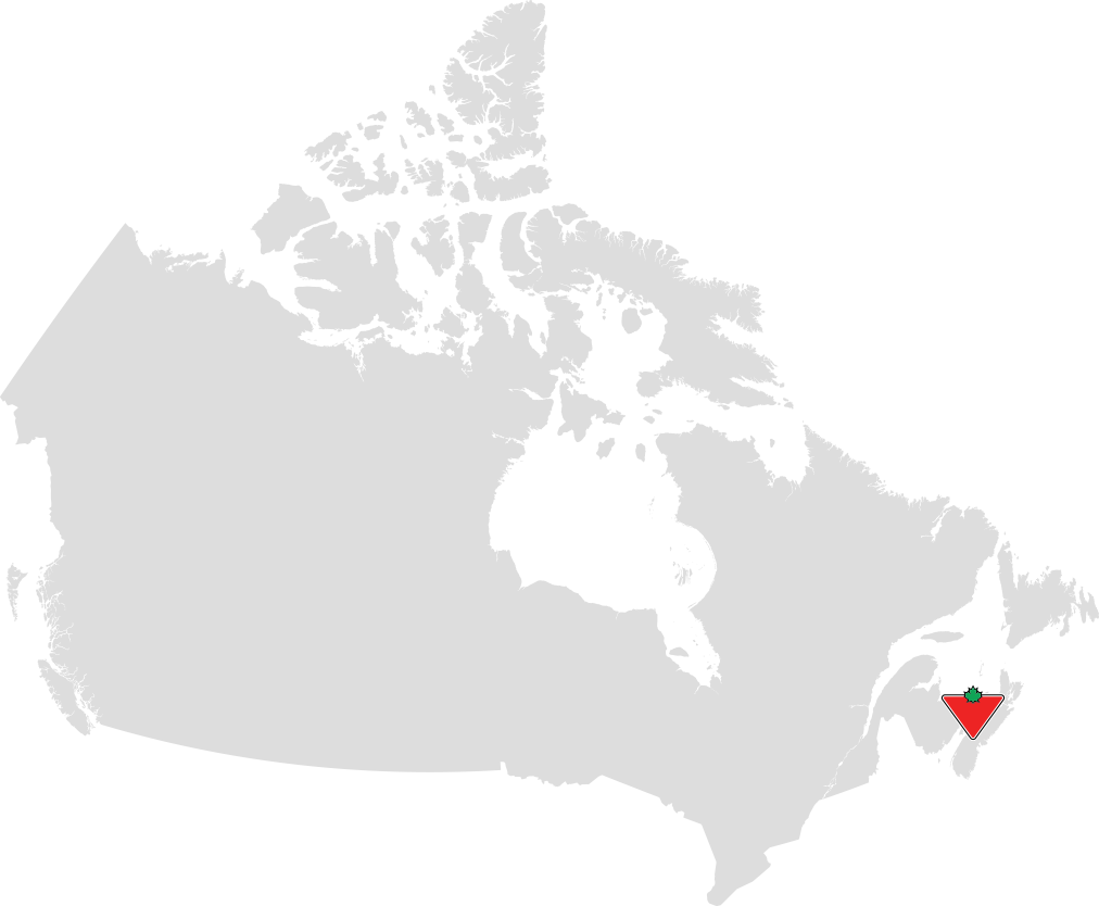 Map of Bedford, NS